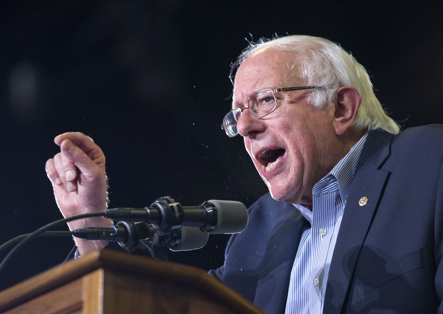 Bernie Sanders campaign rally